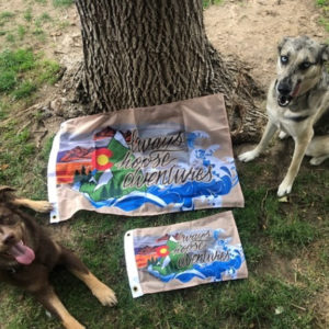 Vintage ACA Backpacking Flags - Small 12in x 18in